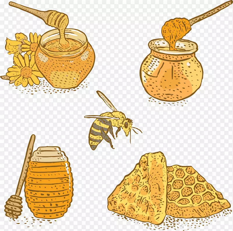 蜜蜂蜂蜜原料药FLOREA-手绘工艺蜂蜜