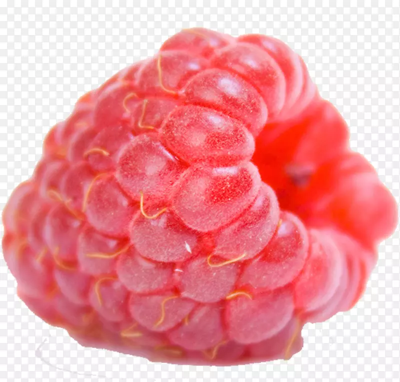 红树莓果实