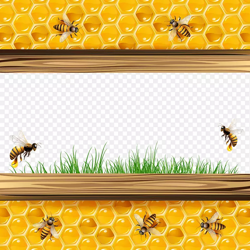 蜜蜂蜂巢图-黄色蜂蜜