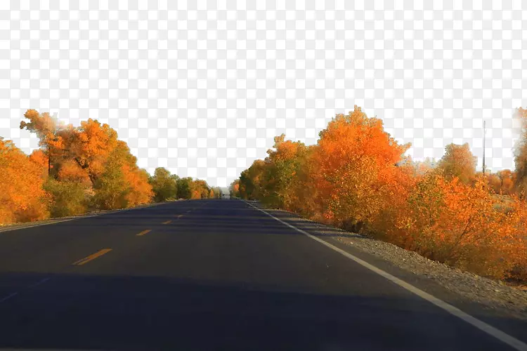 公路道路车道-沙漠，公路