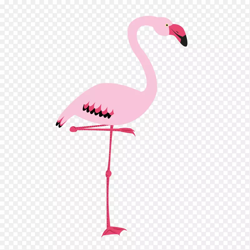 火烈鸟-粉红色火烈鸟图案免费下载