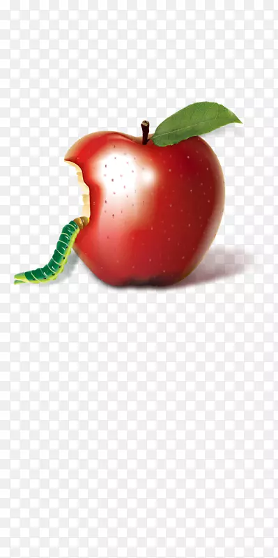 苹果下载-苹果昆虫