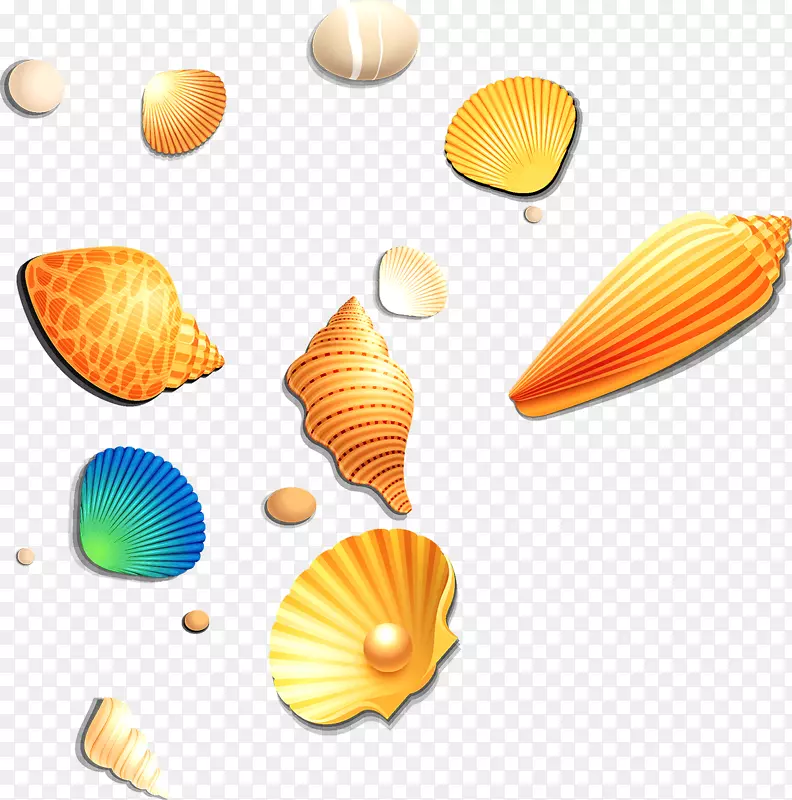 海螺壳