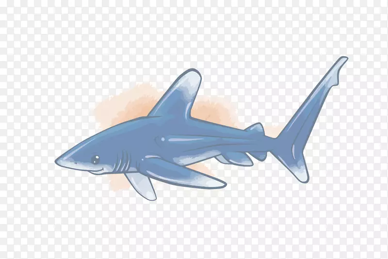 鲨鱼鲨鱼