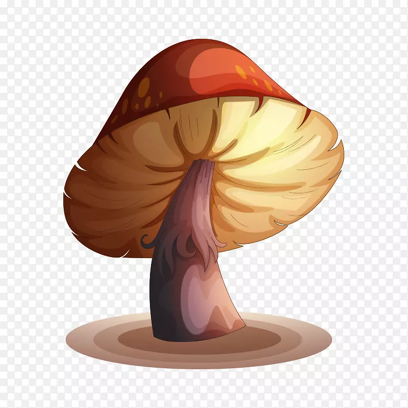 食用菌素描-蘑菇，真菌