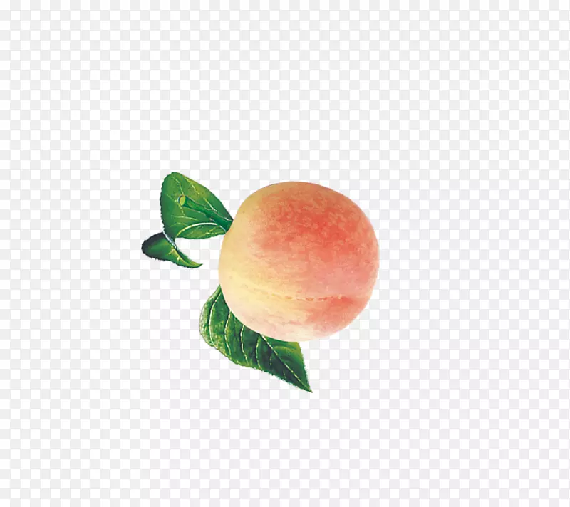 桃下载水果-桃
