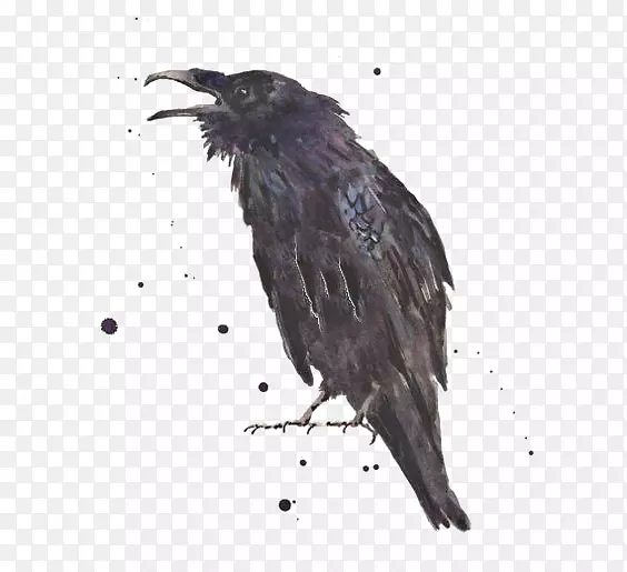 普通乌鸦-乌鸦艺术版画-墨水乌鸦
