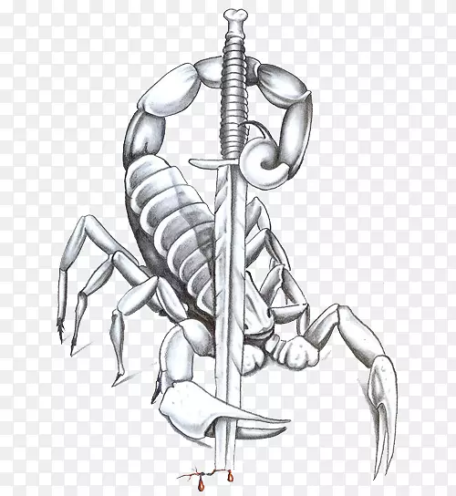 蝎子纹身-草图风蝎子材料