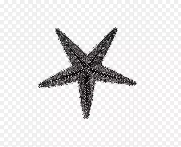 海星海贝纺织.黑海星