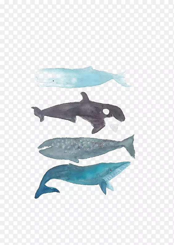 虎鲸座头鲸版画制作须鲸鲸鱼
