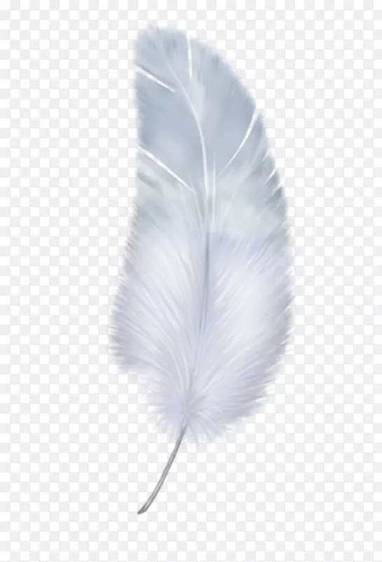 羽毛翼白色-白色羽毛