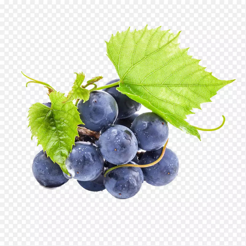 葡萄酒乌龙葡萄籽提取物原花青素葡萄