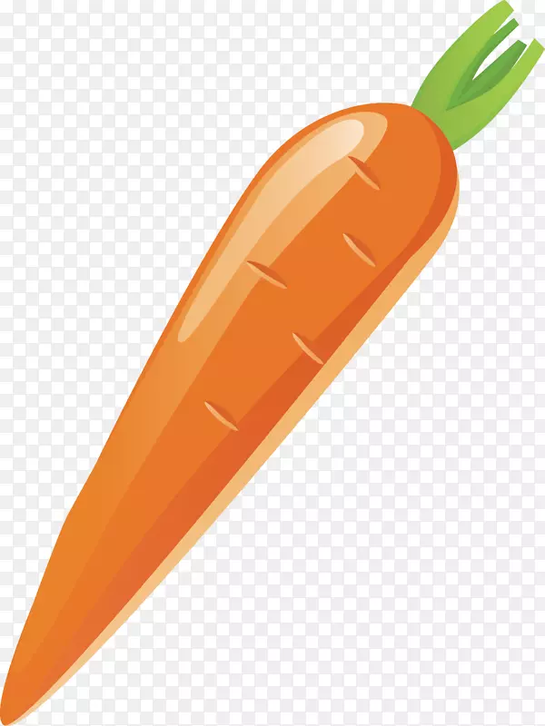 胡萝卜蔬菜-胡萝卜载体