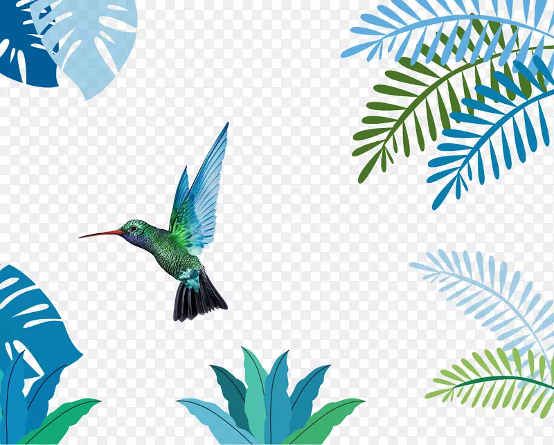 热带植物插图-丛林鸟