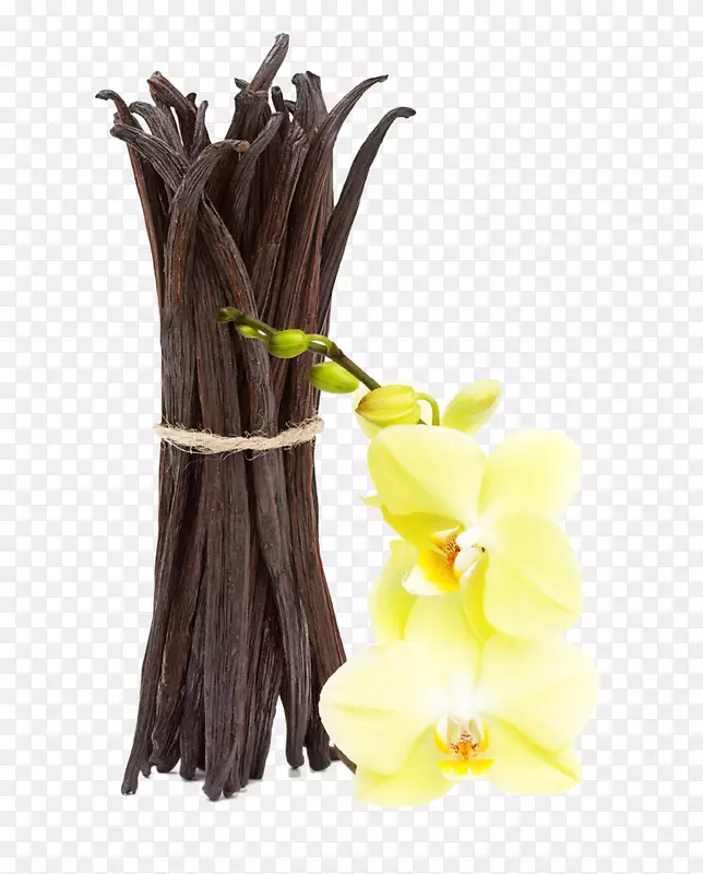 香草精精油原料摄影香水香草荚和黄花