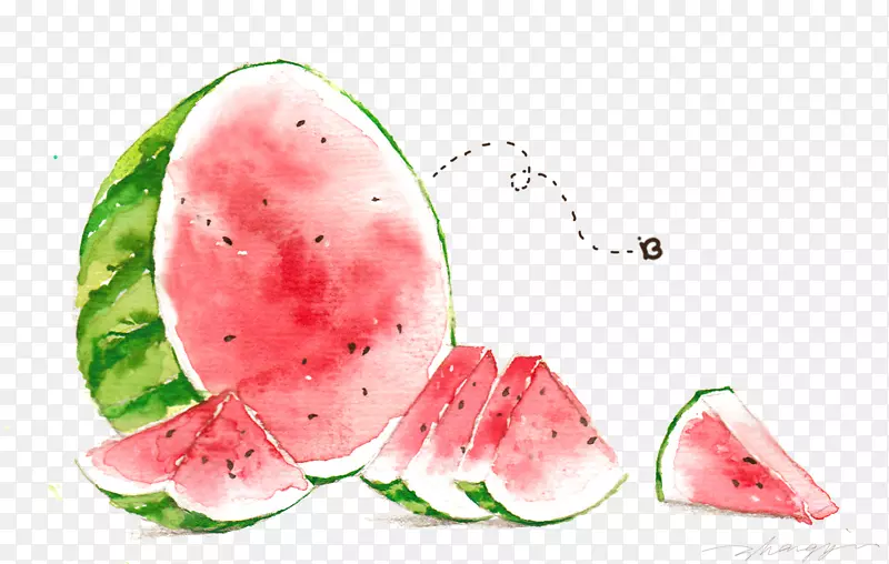 西瓜水彩画插图-一个大西瓜