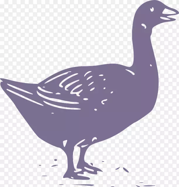 鸭鹅鸡丁-经典设计的黑鹅