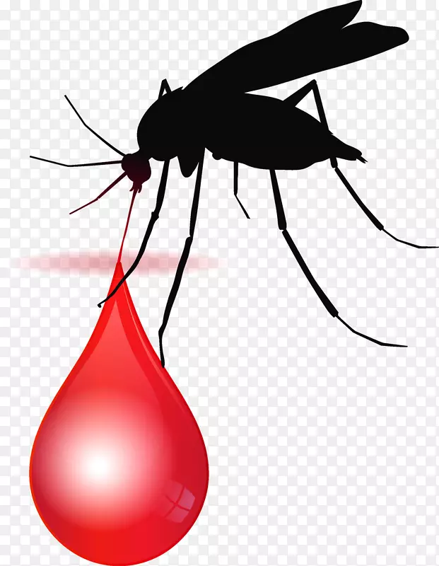 非洲疟疾媒介药物吸血蚊子