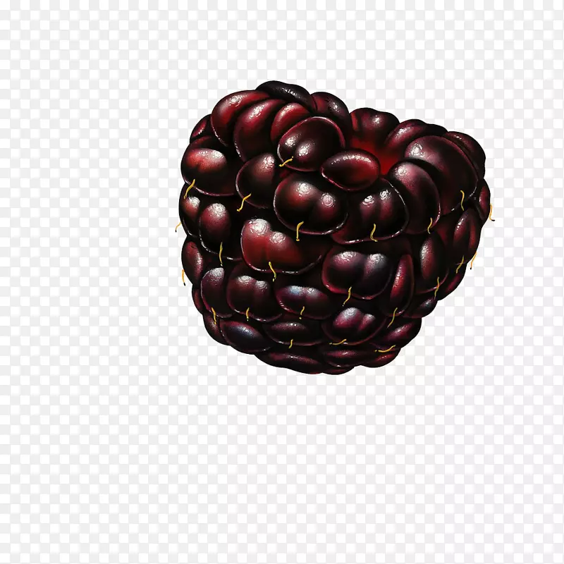 覆盆子，黑莓，桑树-石榴