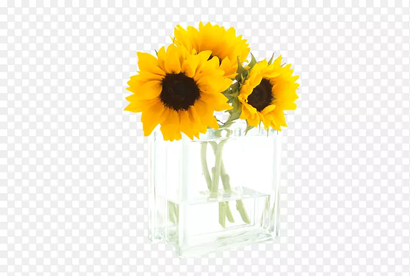普通向日葵早切花.向日葵玻璃花瓶