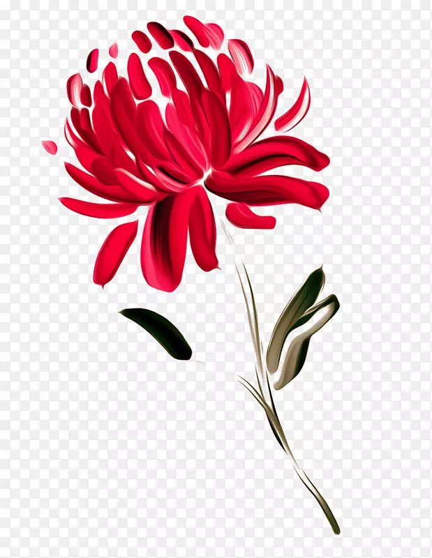 澳大利亚花画瓦拉塔菊花-无花果漆红菊花