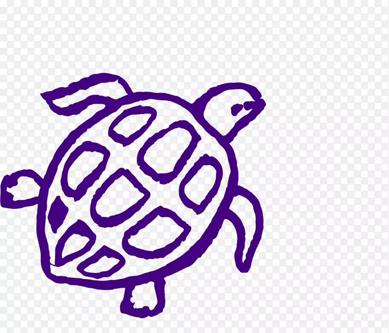 海龟-彩绘海龟