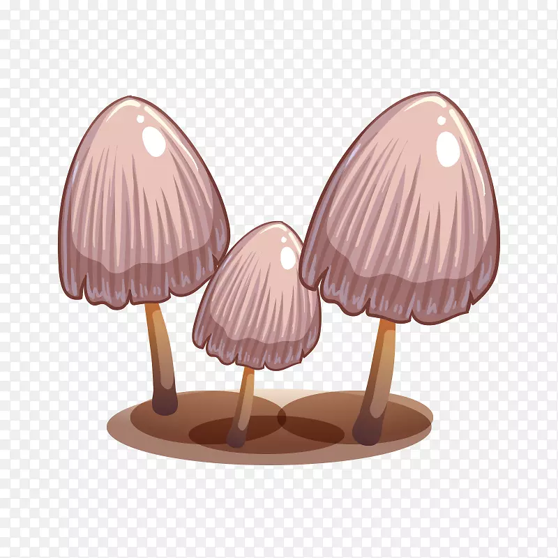 食用菌砧木插图-蘑菇，真菌