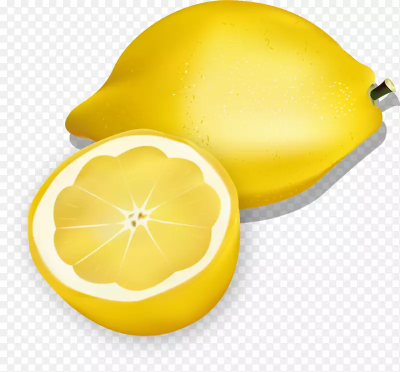 柠檬插图-柠檬