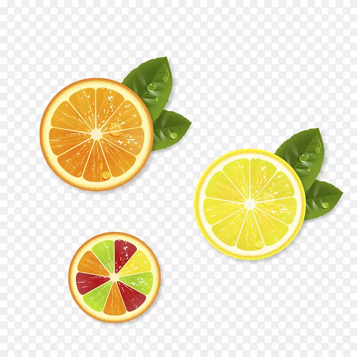 奥格里斯柠檬柚子-柠檬