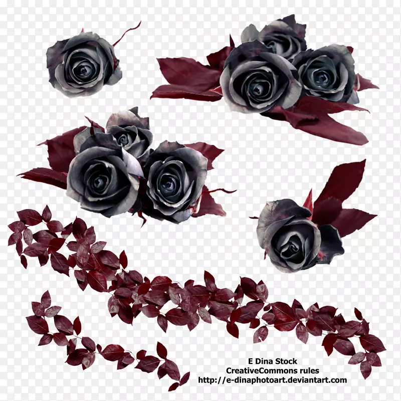 黑色玫瑰插花艺术-黑玫瑰