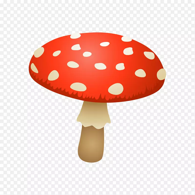 牛肝菌-食用菌剪辑艺术-蘑菇，真菌