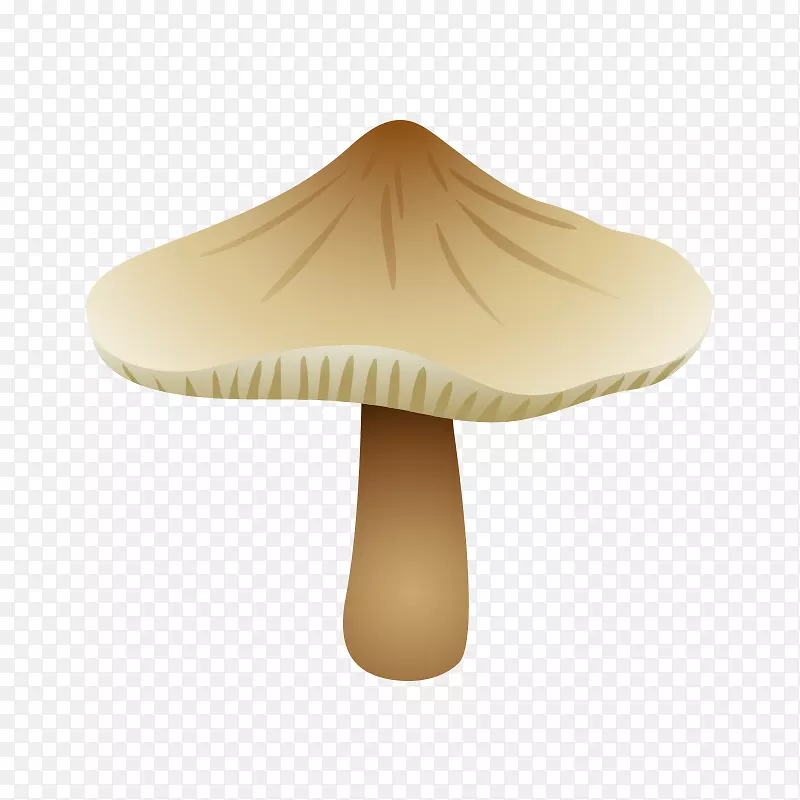 香菇-蘑菇，真菌