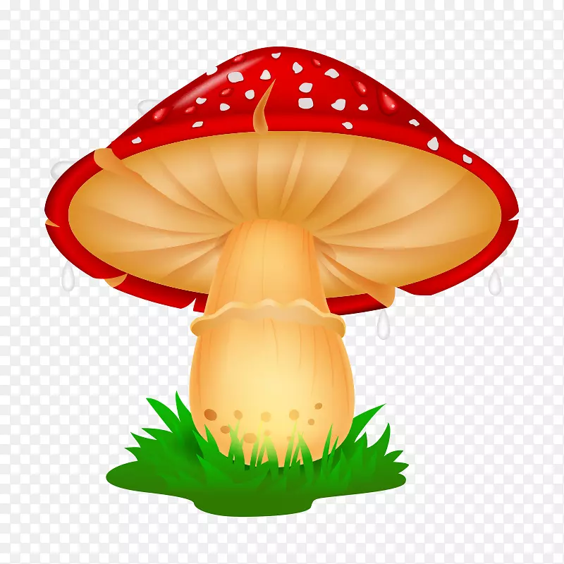 蘑菇画卡通插图-蘑菇，真菌