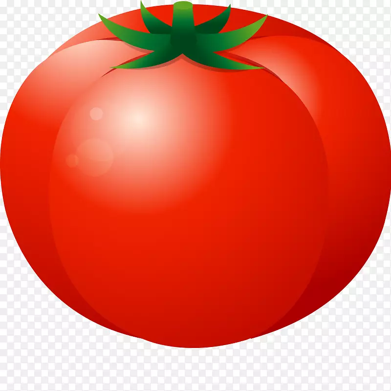 李子番茄水果蔬菜甜瓜蔬菜瓜果水果