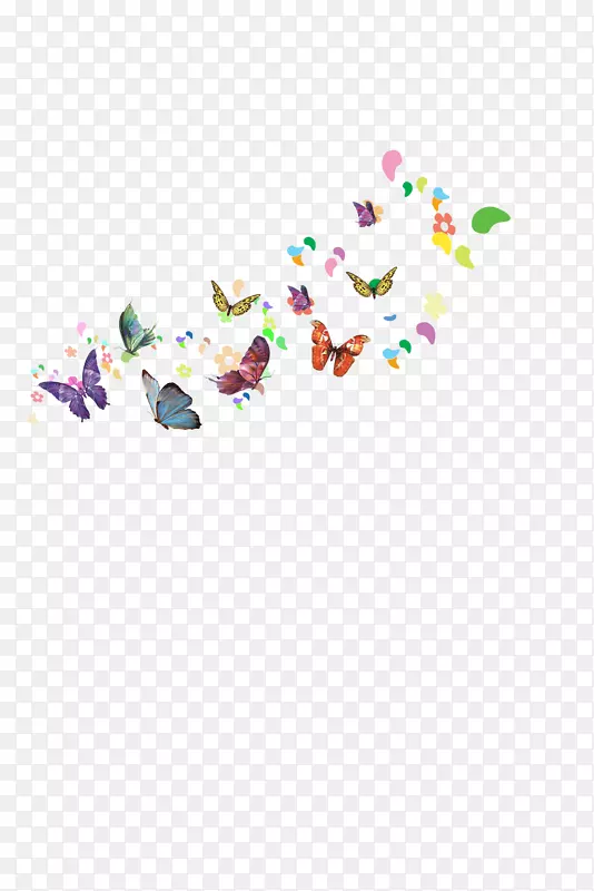 蝴蝶海报-飞蝶