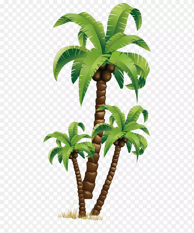下载椰子树