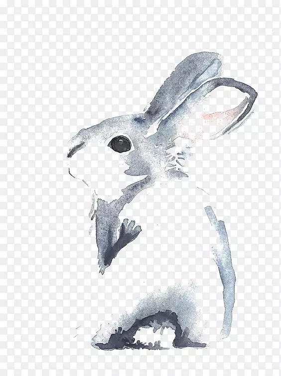 肉桂兔水彩画小兔子
