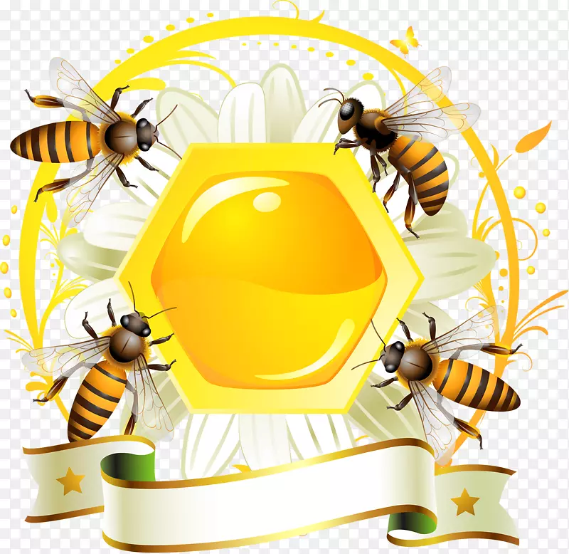 蜜蜂标签蜂巢-蜂蜜装饰