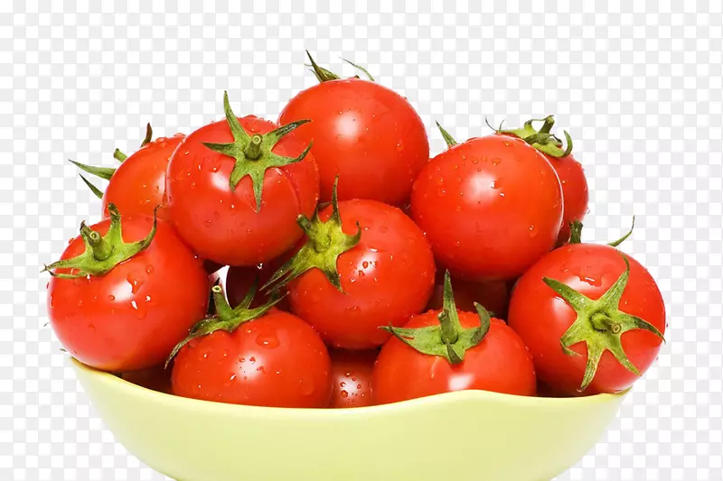 李子番茄灌木番茄砧木摄影-番茄图片