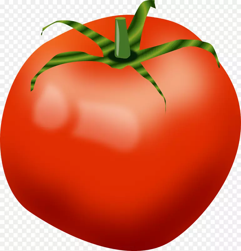 樱桃番茄蔬菜剪贴画-红番茄