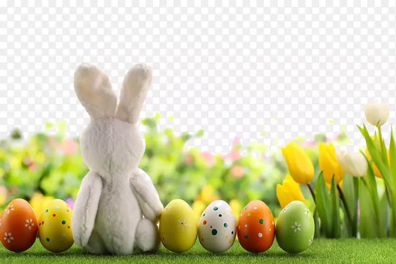 复活节兔子彩蛋-美丽的复活节彩蛋