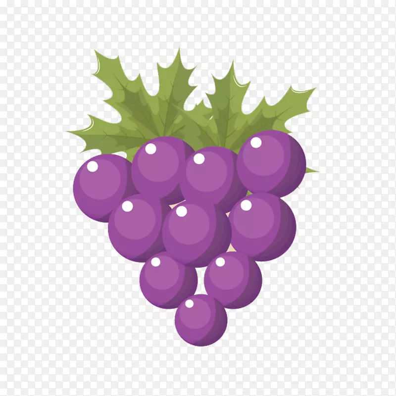 葡萄载体-载体材料紫葡萄