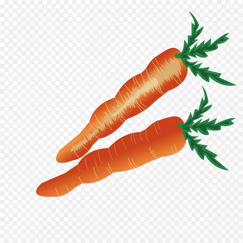 小胡萝卜蔬菜-新鲜胡萝卜