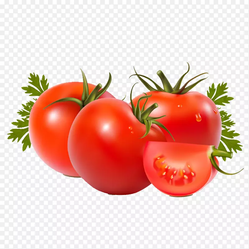 罗马番茄蔬菜牛排番茄水果食品-番茄