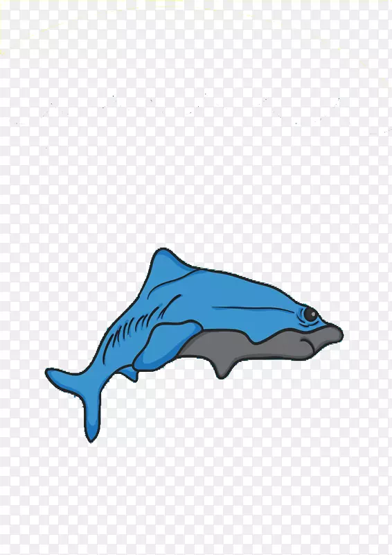 海豚插图-鲸鱼