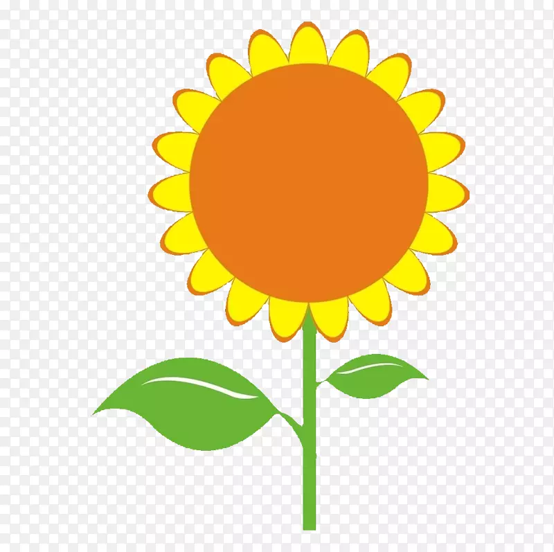 普通向日葵种子插图-向日葵
