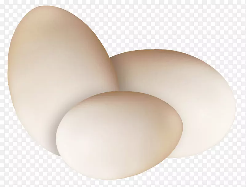 鸡蛋照明-美丽的棕色鸡蛋