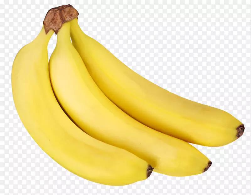 金香蕉痰营养-三根金香蕉
