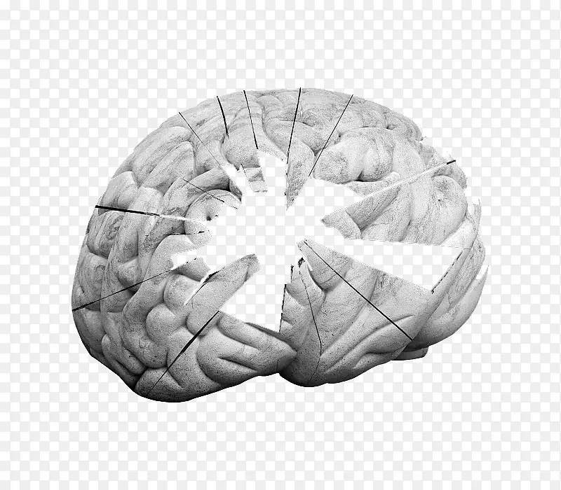 长期记忆认知心理学认知在大脑中有强大的漏洞。