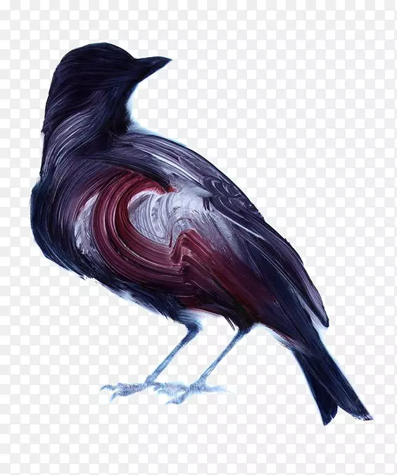 鸟类绘画艺术家插画-卡通乌鸦